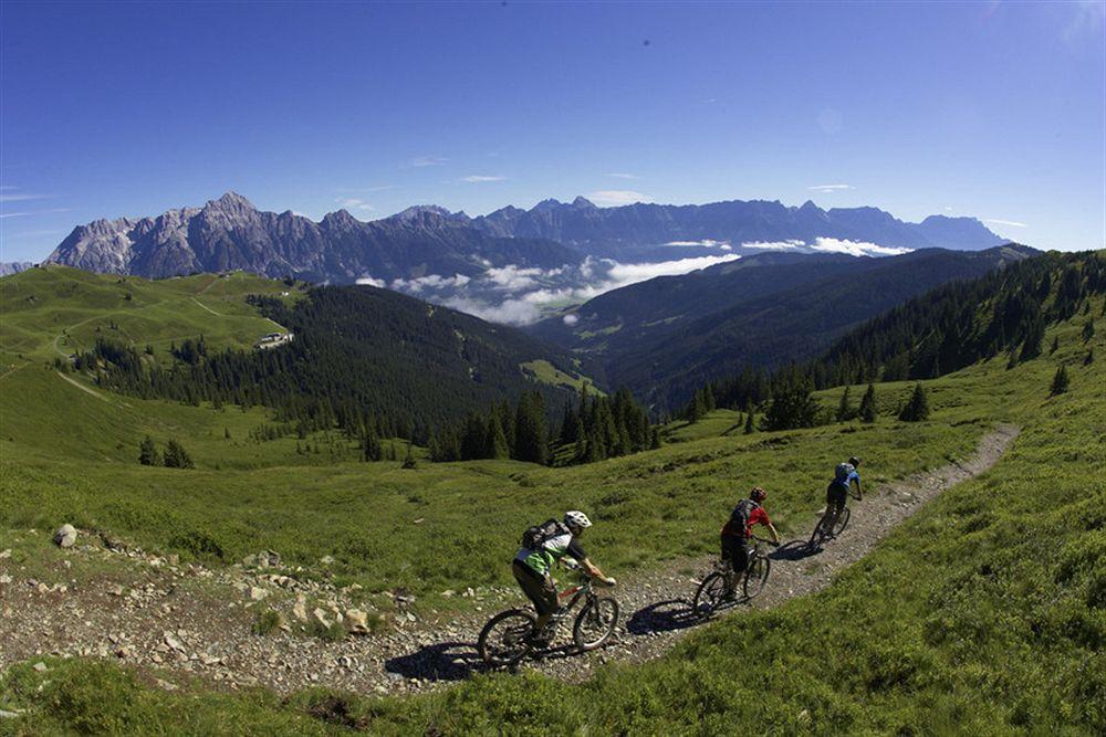 Panther'a Saalbach-Hinterglemm